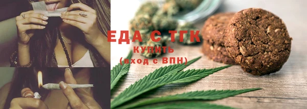 индика Богородицк