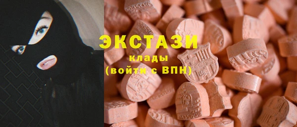 индика Богородицк