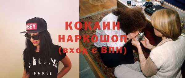 индика Богородицк