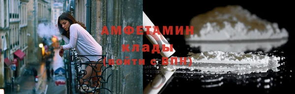 индика Богородицк