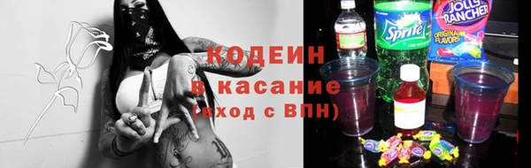 индика Богородицк