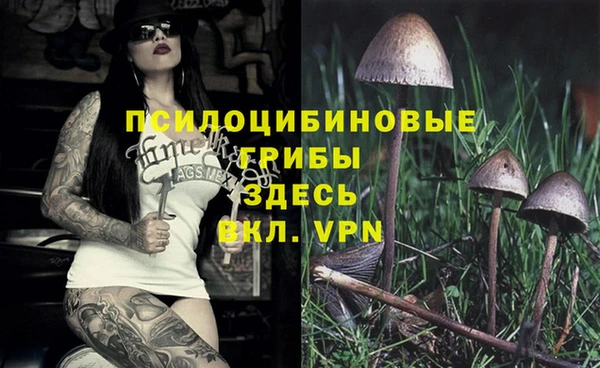 индика Богородицк