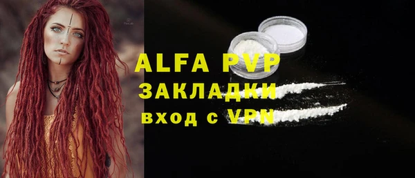 индика Богородицк