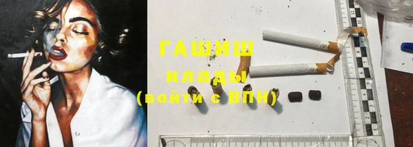 индика Богородицк
