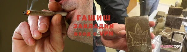 индика Богородицк