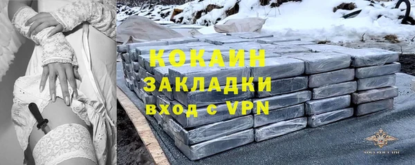 индика Богородицк