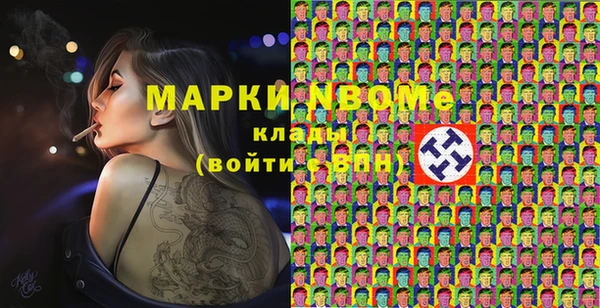 индика Богородицк