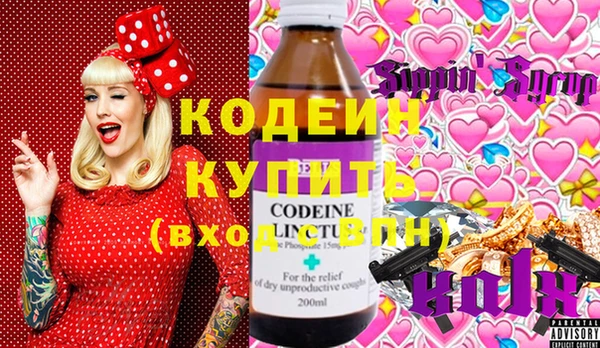 индика Богородицк