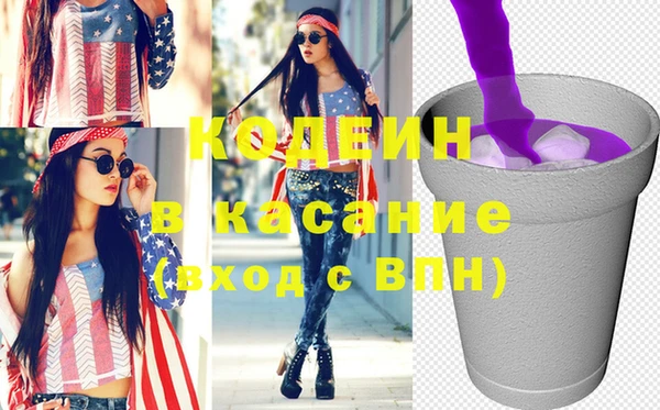 индика Богородицк