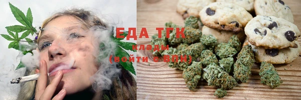 индика Богородицк